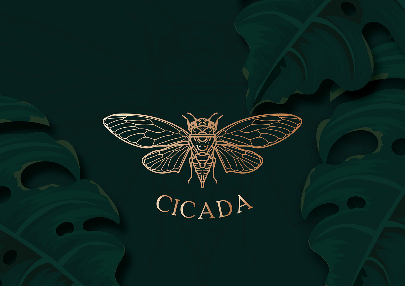 Cicada